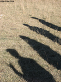 groupe
